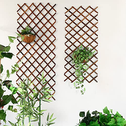 Pcscevcr Enrejado de jardín expandible de madera, valla plegable para trepar plantas en crecimiento, panel decorativo para colgar en la pared, para decoración del hogar y jardín