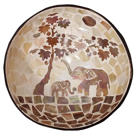 Zerodeko 1stk Gerichte Aus Kokosnussschalen Obstschale Bio-nüsse Schüssel Zur Aufbewahrung Von Schlüsseln Nusshalter Dekorative Schalen Bio-kokos Hölzern Dessertschale
