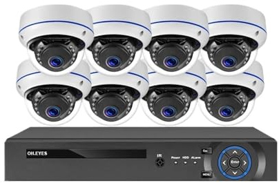 Outdoor Metall Dome 8MP 4K POE CCTV Sicherheit Kamera System H.265 NVR Kit 4CH Home IP Kameras Video Überwachung Bewegungserkennung(1T,10CH NVR 8 Camera)