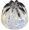 Cone agrumes transparent Kenwood KW675790