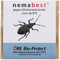 nemabest® cool HB+SF Nematoden zur Bekämpfung des Dickmaulrüsslers - 6 Mio. für 12m²