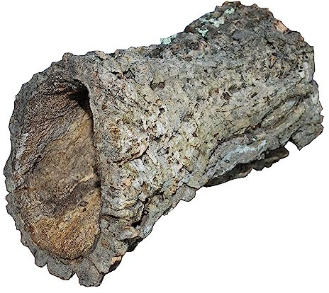 Dehner Terra Terrariendeko, Korkröhre, Größe L, ca. Ø 20-30 cm, Breite 30-55 cm, Naturkork, braun/beige