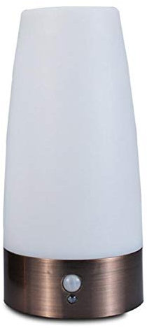 HGDXDP Desk Lamp LED Table Lamp Motion Sensor Battery Operated Motion Sensor Table Night Light