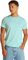 Tommy Jeans Herren TJM Xslim Jersey Tee Dm0dm04411 S/S T-Shirt, Green (Spring Mint), M EU