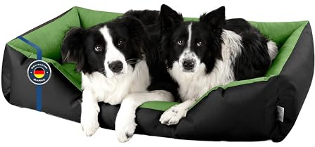 BedDog Hundebett LUPI Hundekissen Hundekorb mit Waschbarem Bezug | Hundesofa Schlafplatz und Liegeplatz für Alle Hunderassen, Formstabil Gepolstert, Sechs Größen von S bis XXXL