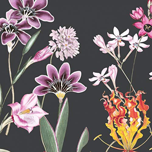 anna wand – Selbstklebende Bordüre/Borte/Wandbordüre „Botanical Garden” Blumen floral – Schwarz/Mehrfarbig – 450 x 11.5 cm – Made in Germany