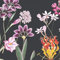 anna wand – Selbstklebende Bordüre/Borte/Wandbordüre „Botanical Garden” Blumen floral – Schwarz/Mehrfarbig – 450 x 11.5 cm – Made in Germany