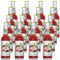 Elephant Bay Ice Tea Water Melon 16 Flaschen je 0,33l incl. Mehrweg Pfand