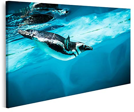 islandburner Bild auf Leinwand Humboldt Pinguin (Spheniscus Humboldti) auch Peruanischer Pinguin oder Patranca genannt schwimmt im Wandbild Leinwandbild Bilder für Wohnzimmer GBTA-1K