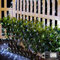 Redefun Red de luces para exteriores, 3 x 2 m, 200 luces LED, red con enchufe, 8 modos, resistente al agua, cortina de luces para habitaciones, paredes, bodas, vallas, jardín, decoración, color blanco