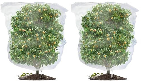 2PCS Fruit Tree Netting Bird Protection, Bird Netting for Garden, Fruit Trees Cover Frame Bags with Drawstring for Small Bush Vegetables Strawberry Net (100 * 150cm)