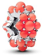 Feitery Korallen Charm Compatible with Charms Pandora Armband Reisen Bead Charms für Damen Herz Anhänger Meerestiere