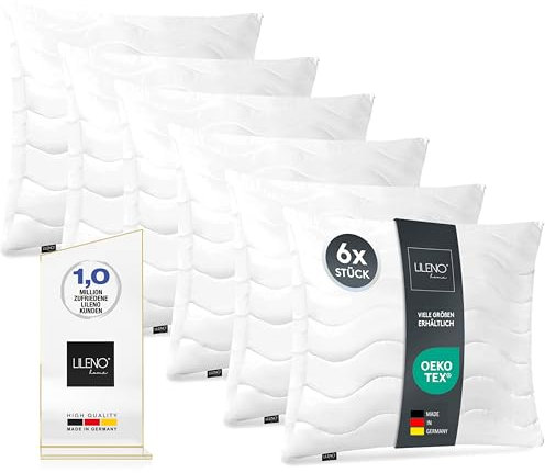 LILENO HOME Lot de 6 coussins rectangulaires de 60 x 60 cm, rembourrés en polyester et microfibre, lavables jusqu'à 95°C, pour canapé/lit et décoration d'intérieur