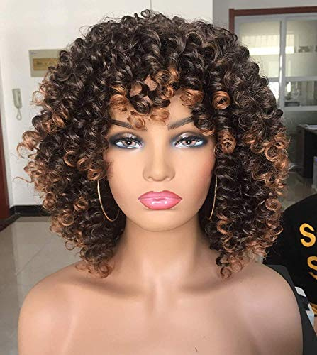 ISAMY Curly Afro Wig with Bangs Short Kinky Curly Wigs for Black Women Synthetic Fiber Soft Hair Short Curly Afro Wig(Ombre Brown)