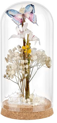 PH PandaHall Cloche à Dôme en Verre de 18.5x9cm avec Cloche en Liège et Petites Bouteilles en Verre Cloche Décorative pour L'affichage, Plantes, le Stockage de Fleurs, Décoration de Noël