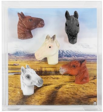 Kraftheld | 5er Set Deko-Magnete Horse | Pferd-Magnete | bunt, dekorativ, farbenfroh | Kühlschrankmagnete in Form von Tieren | Magnet-Deko als Geschenk