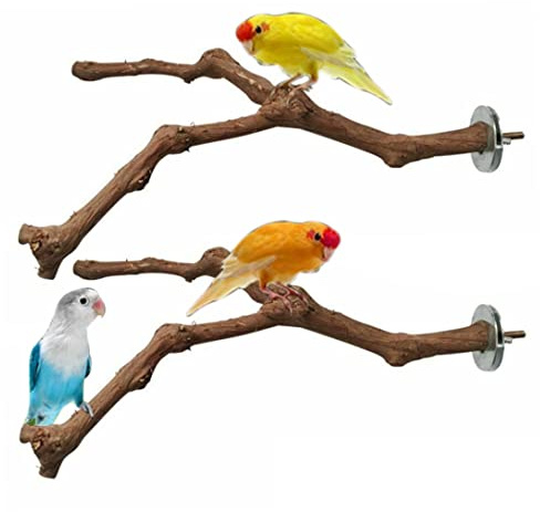 Ginwrek Vogelständer, Äste, Papageienständer, Sitzstange, stehend, Traubenstab, natürliche stehende Zweige für Käfigspielzeug, 2 Stück