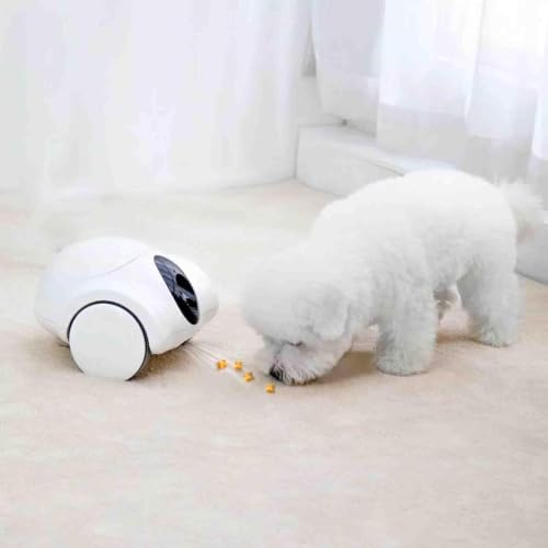 XYFGODEM 1080p HD Pet Camera with Treat Dispenser, Interactive Toy and App Remote Control, 360° Panorama, Ideal for Live Monitoring Remote Play