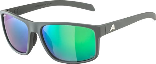 ALPINA Unisex NACAN I P Sonnenbrille, Midnight-Grey matt, One Size