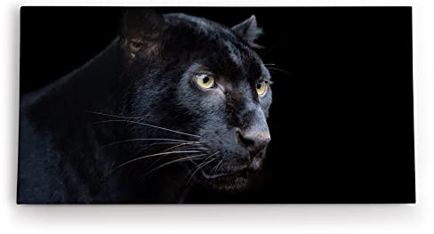 Paul Sinus Wandbild 120x60cm Schwarzen Panther Schwarz Raubkatze Leopard Jaguar