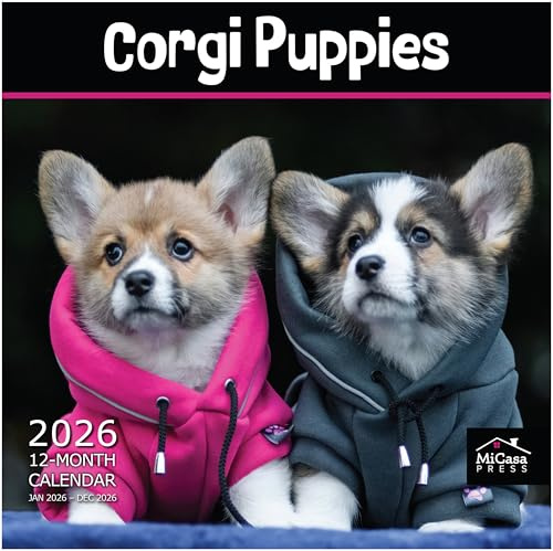 MICASA Corgi Puppies Wandkalender 2026, 12 Monate, 30,5 x 61 cm offen, dickes und stabiles Papier, Geschenk, Kalender 2026