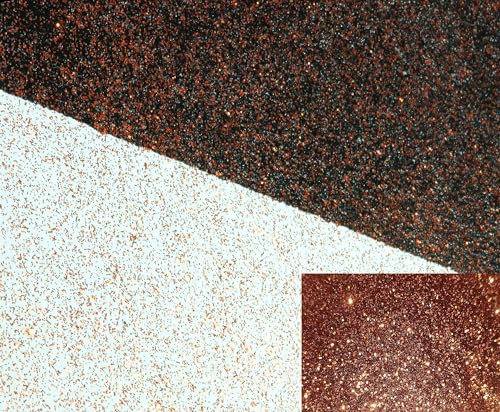 CoPa-Gran H+V Paul Kamm Glitter Lasur, Effektfarbe, Metallic Farbe, Wandfarbe, Wand-Farbe, Wandfarbe, Farbe mit Glitzer, Glitzer Effekt