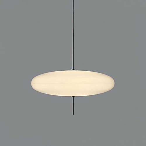 LZH FILTER Kuppel Pendelleuchte, Verstellbare UFO-Hängelampe, 30 cm eiförmiger Simple Art Kronleuchter, für Restaurant-Bar-Treppe