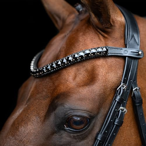 Imperial Riding Stirnriemen IRH Maxima, Stirnband aus Leder mit Glas-Strasssteinen und Stiftverschluss, Schwarz, Cob