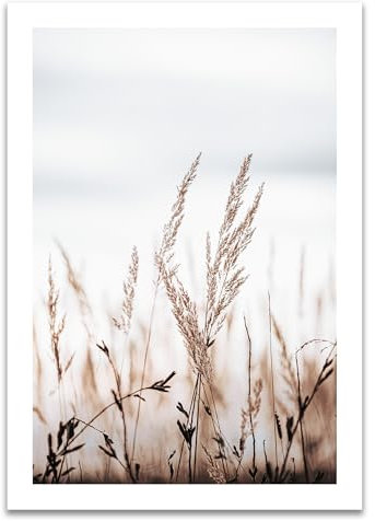 ARTFAVES® Poster - Gräser bei Sonnenuntergang | Wanddeko Wandbild Fotografie Modern | ohne Rahmen | 30 x 40 cm