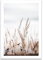 ARTFAVES® Poster - Gräser bei Sonnenuntergang | Wanddeko Wandbild Fotografie Modern | ohne Rahmen | 30 x 40 cm