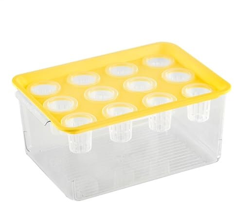 Aquaponic Pflanzer und Aquarium, Aquaponic Pflanzer und Aquarium für Fische - Pflanzen Pflanzgefäß | Home Betta Fischtank Hydroponic Plant Propagation Station für Frauen und Mutter
