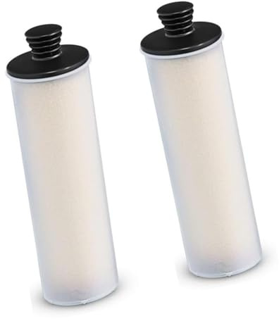 For SC3 nettoyeur à vapeur détartrage tige de filtre 2-Pack, filtre de détartrage vertical avancé for Machine de nettoyage à vapeur 2 pièces