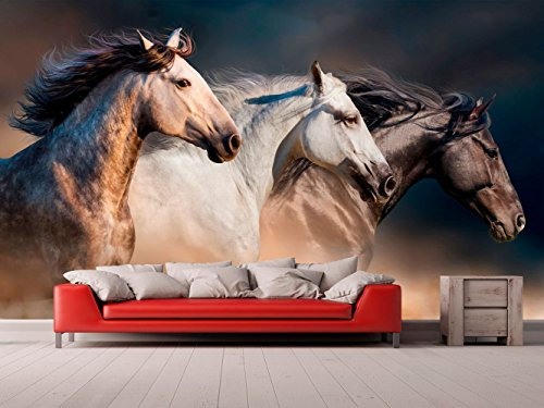 Fotomural Vinilo Para Pared Caballos | Fotomural para paredes | Mural | Vinilo Decorativo | Varias Medidas 150 x 100 cm | Decoración comedores, salones, habitaciones...