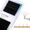 Gemerry Easy Fan Lash Extensions D curl 0.03mm 8-14mm Mixed Tray Noir Russian Volume Automatic Blooming Self Fanning Lashes Long Individual Volume 3D 4D 5D 6D 8D Lash Fan (0.03-d curl-mix 8-14mm)