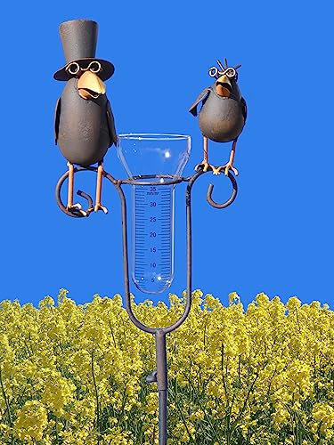 Pommerntraum ® | Regenmesser Niederschlagsmesser Pluviometer Gartenstecker Meisenknödelhalter Rostoptik wunderschöne Gartendeko (Prof. Dr. Rabe + Sohn - 1)