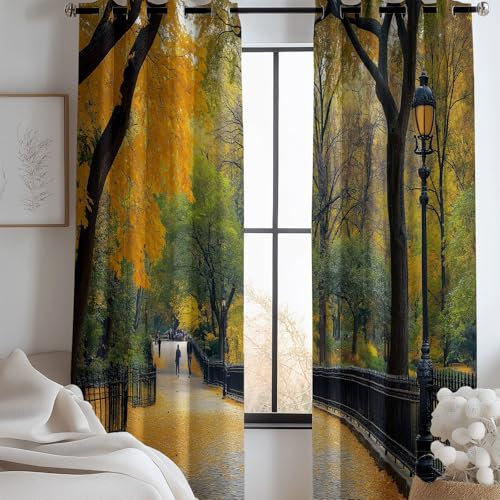 CozyRest Blickdichte Vorhänge ösen 2er Set New York Usa Muster Gardine Lichtundurchlässig Fenstervorhang Wohnzimmer Schlafzimmer Manhattan Park H 215 x B 110 cm