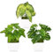 DMJJSD Kunstpflanze Klein 3er Set, Künstliche Pflanzen Wie Echt mit Topf, Topfpflanze Plastik Pflanzen, Kunstpflanzen Fake Plant für Wohnzimmer Zimmer Wanddeko Badezimmer Schlafzimmer Deko