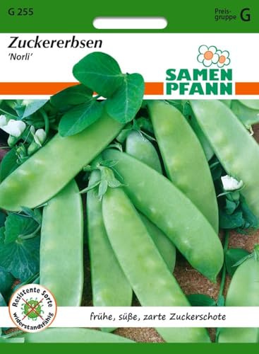 SAMEN PFANN® Zuckererbse, Norli - Gemüse-Samen Saatgut Samen (Pisum sativum)