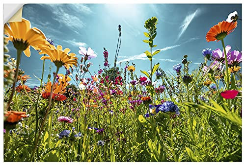 ARTland Wanddeko Wandtattoo selbstklebende Vinylfolie 120x80 cm Blumenbilder Blumenwiese Blüten Frühling Blumen Bunt U2KS
