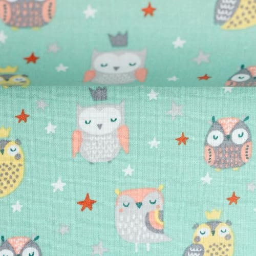 Beschichtete Baumwolle LEONIE | Eulen, mint | Meterware | ab 50 cm