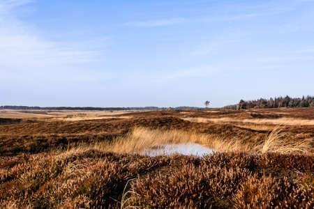 adrium Poster-Bild 140 x 90 cm: Dünenlandschaft in der Nähe des Dorfes Hvide Sande(73081309)