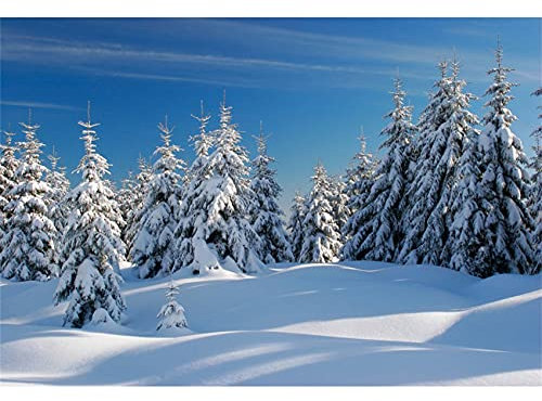 Winter Wald Schnee Szene Hintergrund 150x100cm Kiefernwald, verschneite Landschaft, Fotografie-Hintergründe, 3D-Wintersaison, Urlaub, Neujahrsdekor, Banner