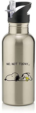 Giftme No Not Today Snoopy Dog Cumpleaños, Navidad, relleno de calcetines de Papá Noel secreto de acero inoxidable 600 ml botella de agua con popote (plata)
