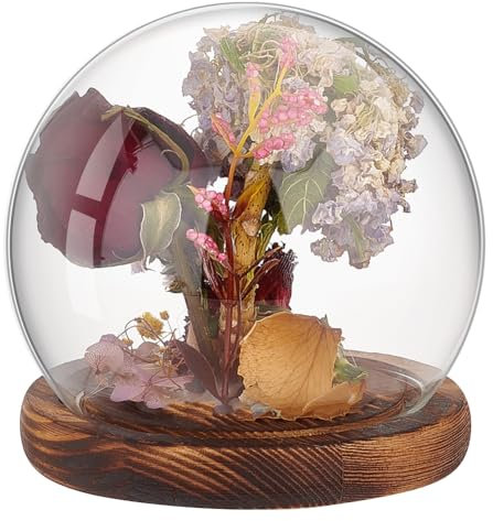 PH PandaHall Cúpula de cristal transparente con pantalla de globo con base de madera, vitrina decorativa para plantas y flores, modelos de piedra y mariposa, 12 x 11,5 cm