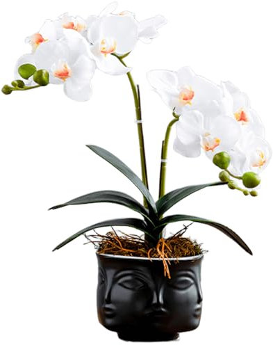 SYDDOL weiß Künstliche Orchideen Bonsai 35 cm Hoch Künstliche Phalaenopsis Blumengesteck Real Touch Feuchtigkeitsspendende Künstliche Orchideen im Keramik Zen Topf für Tischdeko Raumdekoration