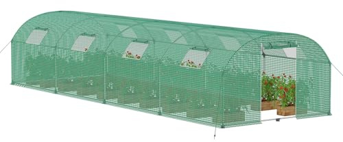 Froadp Gewächshaus Foliengewächshaus 3x8x2 m Folientunnel Winterfest Treibhaus Tomatengewächshaus 24 ㎡ Stabiles Tomatenhaus mit Verzinktem Stahlrohr inkl. Tür & Fenster, Grün