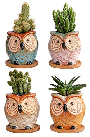 QYLJZB Lot de 4 pots de fleurs en céramique en forme de chouette avec plateau en bambou, 8,9 cm, mini pots de fleurs en forme d'animal mignon pour décoration d'intérieur et cadeaux