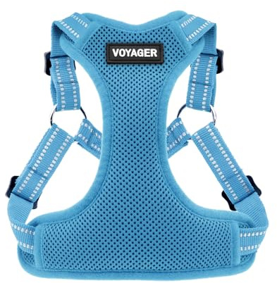 Voyager Verstellbares Hundegeschirr mit Reflektorstreifen by Best Pet Supplies - Strapazierfähige Ganzkörperweste ohne Zugkraft mit Leinen-D-Ring, atmungsaktiv, Babyblau, size XS