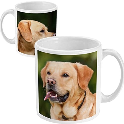 Yourdesign Two Sided Personalised Photo Mug - Have Two Different Images on Each Side 10oz Ceramic