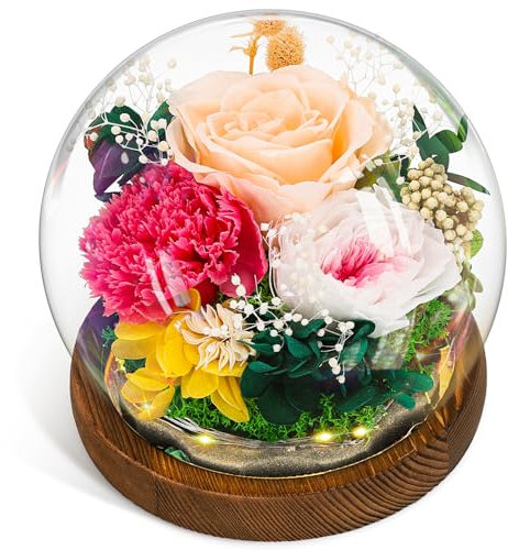CSYY Ewige Rose, Glas Infinity Glasrose Konservierte Unendliche Haltbare Rote Blume Licht Eternal Geschenke Frauen Mama Freundin Ehefrau Valentinstag Geburtstag Rosa